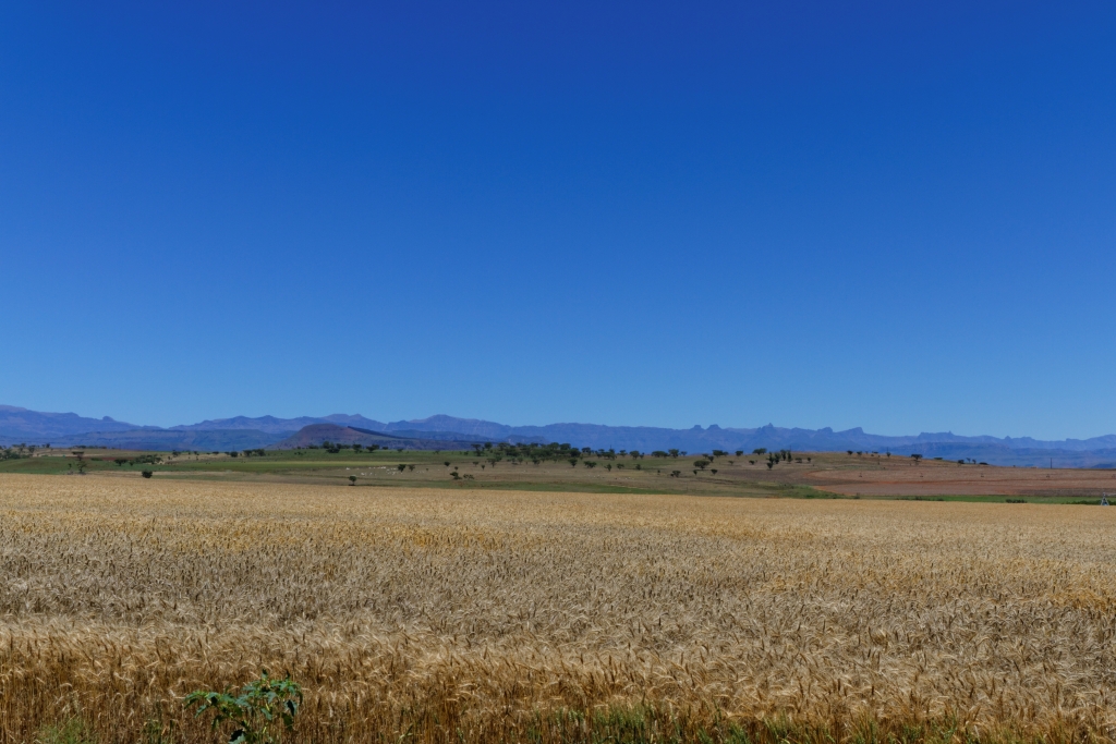 07 - Drankensberg NP (1).jpg